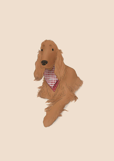 Golden cocker spaniel illustration