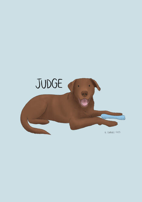 Brown Labrador illustration